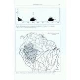 Amphibien an einem Stillgewässer in Peru - mit einer illustrierten Checklist der Amphibien und Reptilien des unteren Río Llullapichis