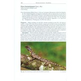 Lizards of Peninsular Malaysia, Singapore and their Adjacent Archipelagos