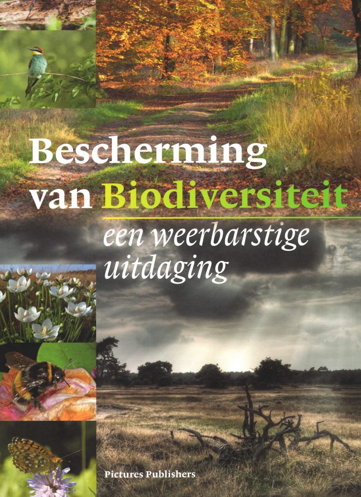 Bescherming van biodiversiteit, een weerbarstige uitdaging