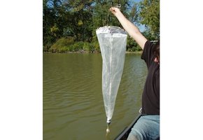 Wildco Plankton net 300 mm Frame