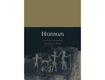 Human