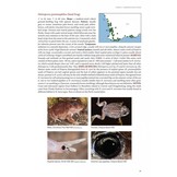 Photographic Field Guide to Australian Frogs