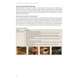 Photographic Field Guide to Australian Frogs