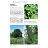 ANWB Paddenstoelengids - alles over het vinden, herkennen, verzamelen en gebruik