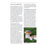 ANWB Paddenstoelengids - alles over het vinden, herkennen, verzamelen en gebruik