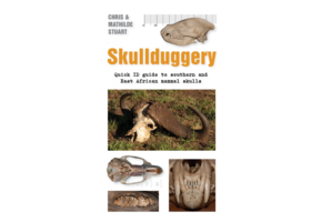 Skullduggery