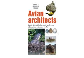 Avian Architects