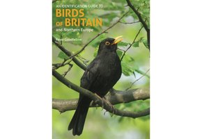 An Identification Guide to Birds of Britain and Northern Europe