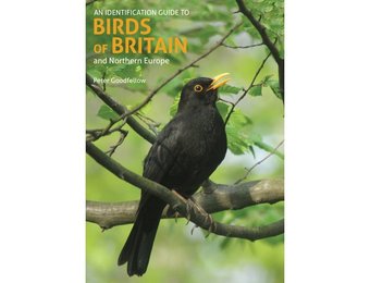 An Identification Guide to Birds of Britain and Northern Europe