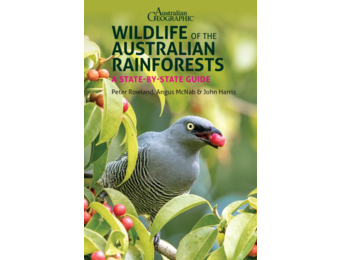 Wildlife of the Australian Rainforests