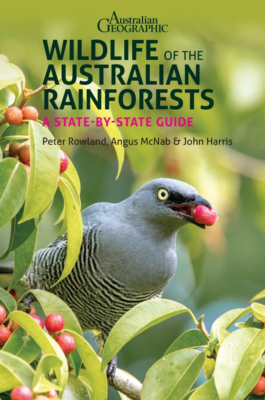 Wildlife of the Australian Rainforests - A State-By-State Guide