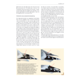 Handboek Meeuwen van Europa, Noord-Afrika en het Midden-Oosten