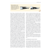 Handboek Meeuwen van Europa, Noord-Afrika en het Midden-Oosten