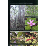 Kinabalu - The Natural History, Ecology and Biodiversity of a World Heritage Mountain