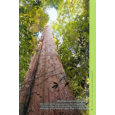 Kinabalu - The Natural History, Ecology and Biodiversity of a World Heritage Mountain