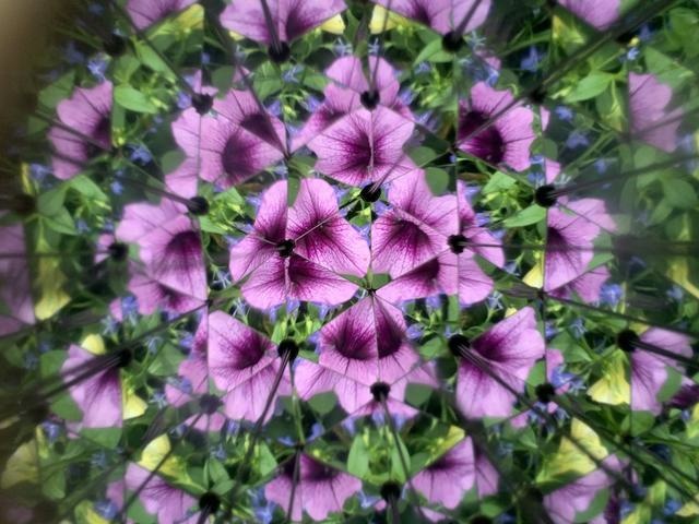 Kaleidoscoop