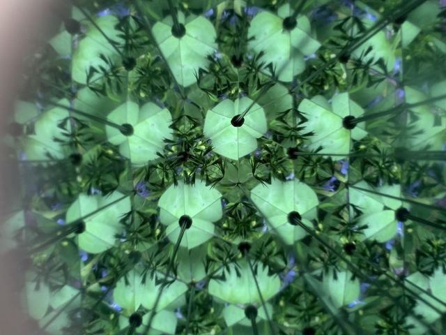 Kaleidoscoop