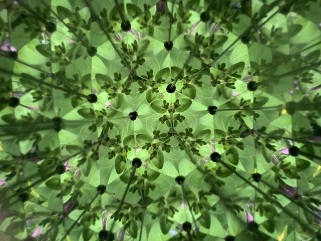 Kaleidoscoop