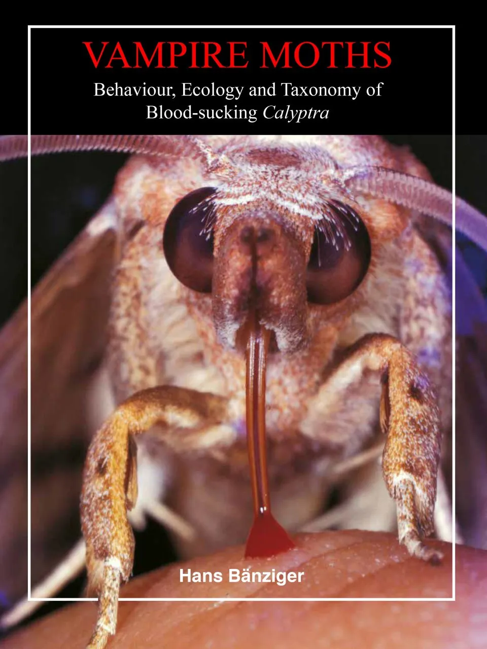 Vampire Moths - Behaviour, Ecology and Taxonomy of Blood-Sucking Calyptra