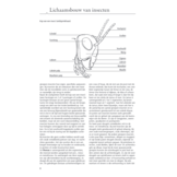 ANWB Insectengids - ruim 1.500 afbeeldingen, vaak ook larven en poppen