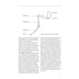 ANWB Insectengids - ruim 1.500 afbeeldingen, vaak ook larven en poppen