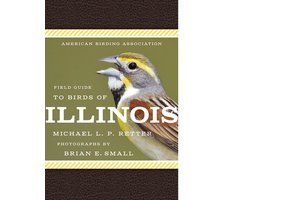 Field Guide to Birds of Illinois