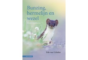 Bunzing, hermelijn en wezel