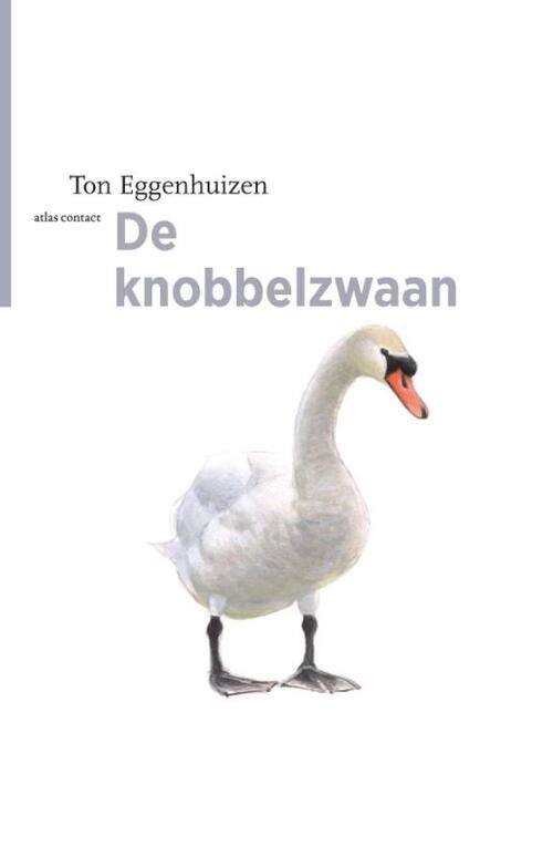 De Knobbelzwaan