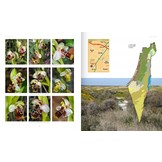 Orchids of Israel