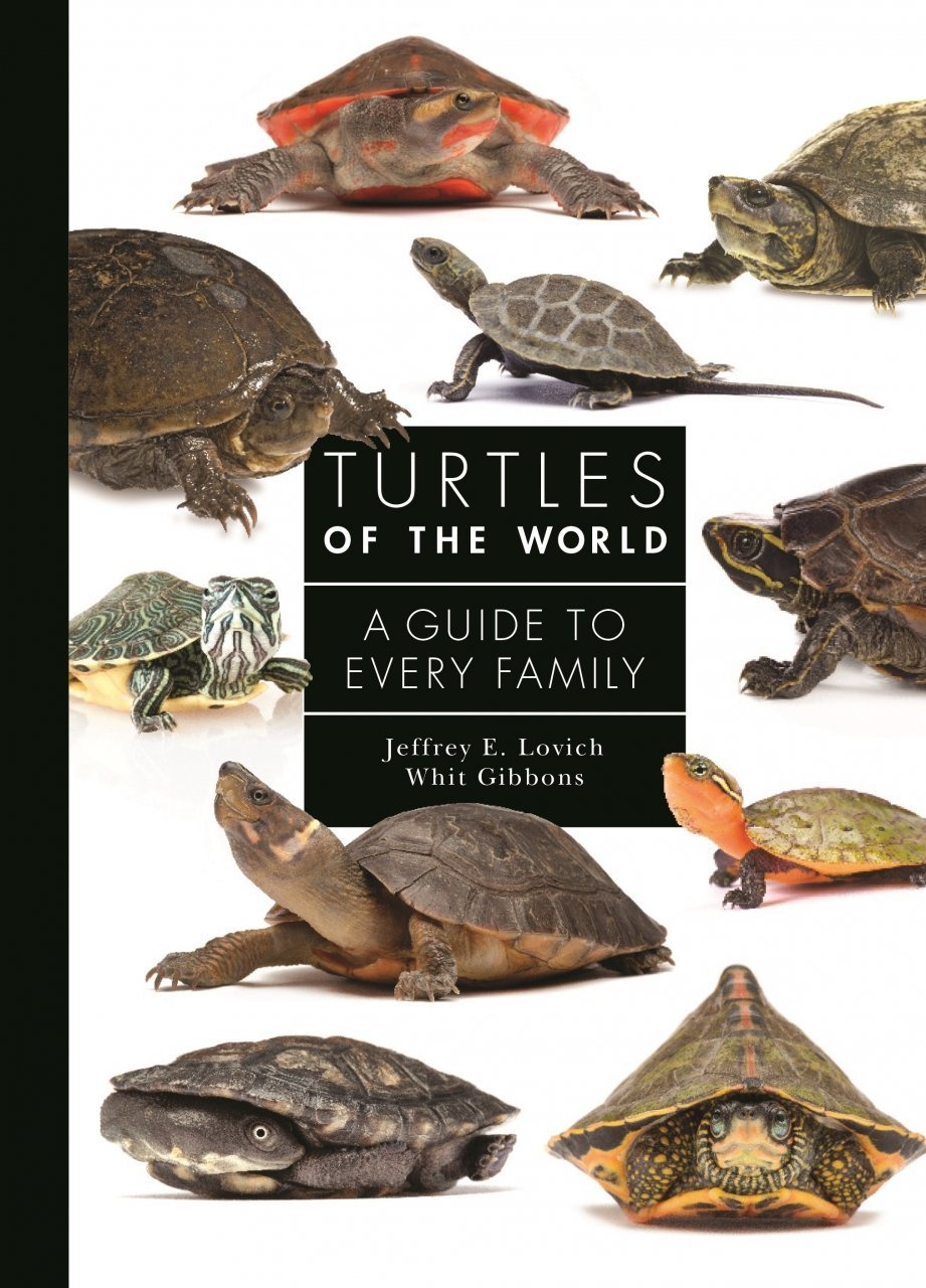 Turtles of the World - A Guide to Every Family