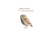 De Steenuil