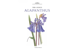 The Genus Agapanthus