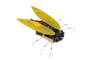 Velleman Electronic Cicada
