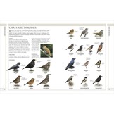 RSPB Complete Birds of Britain and Europe