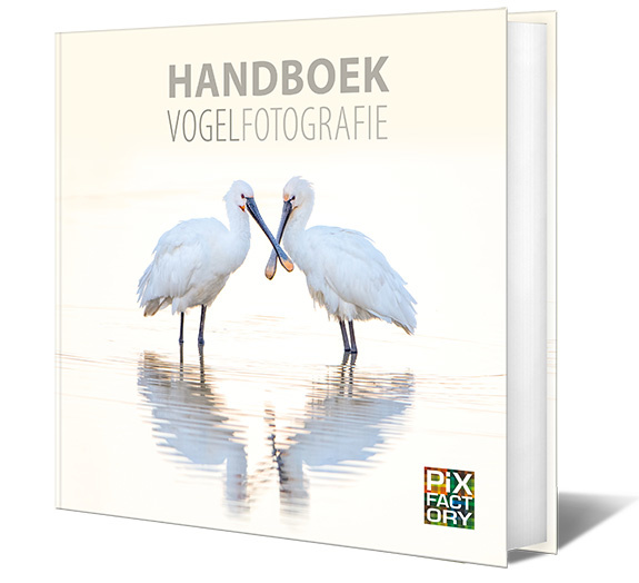 Handboek Vogelfotografie