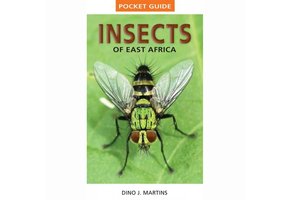 Struik Pocket Guide: Insects of East Africa
