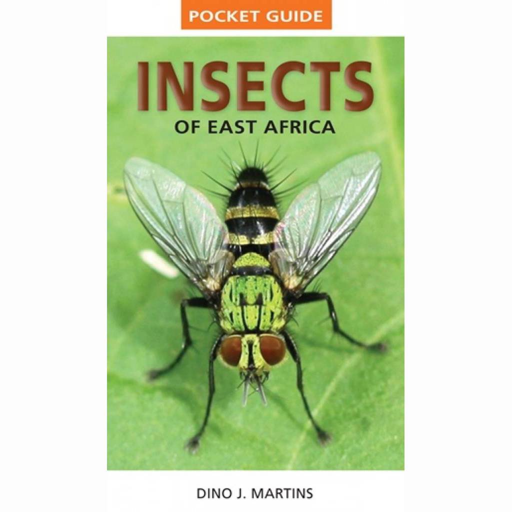 Insects of East Africa