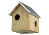Squirrel house