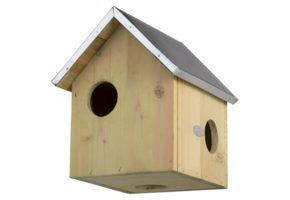 Squirrel house