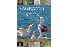 Vagrancy in Birds