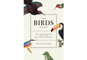 How Birds Evolve