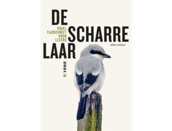 De Scharrelaar - 2021/2