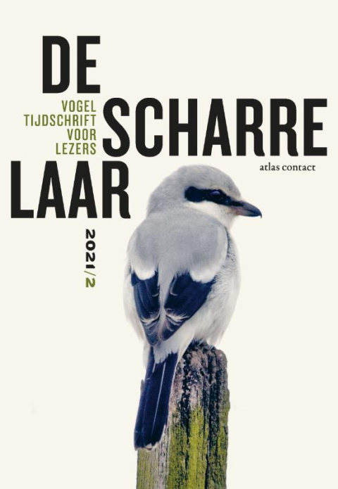 De Scharrelaar, een vogeltijdschrift voor lezers - 2021/2