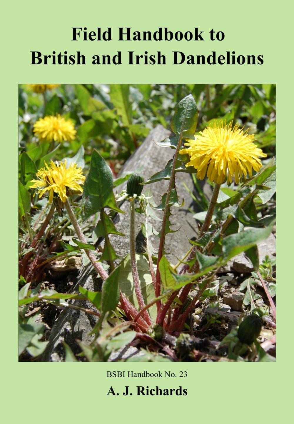 Field Handbook to British and Irish Dandelions - BSBI Handbook No. 23