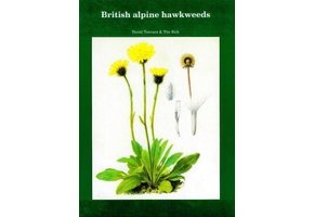 British Alpine Hawkweeds