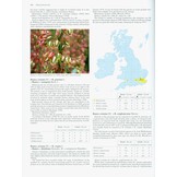 Hybrid Flora of the British Isles