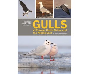 Gulls of Europe, North Africa, and the Middle East - Veldshop