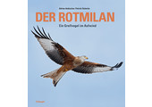 Der Rotmilan