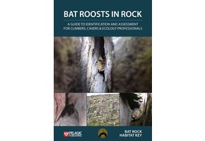 Bat Roosts in Rock