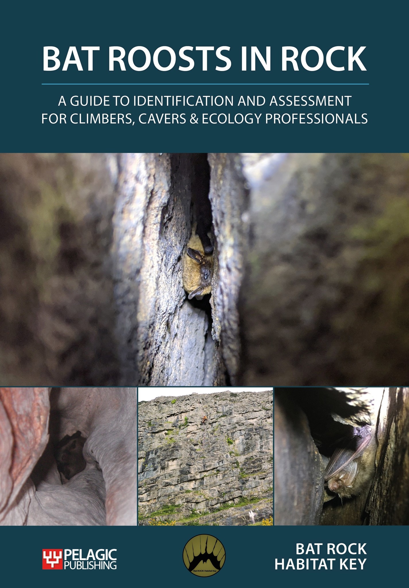Bat Roosts in Rock - A Guide to Identification and Assessment for Climbers, Cavers & Ecology Professionals